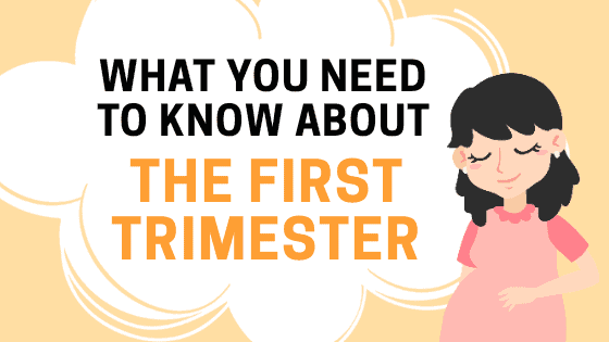 What You Need To Know About Your First Trimester of Pregnancy
