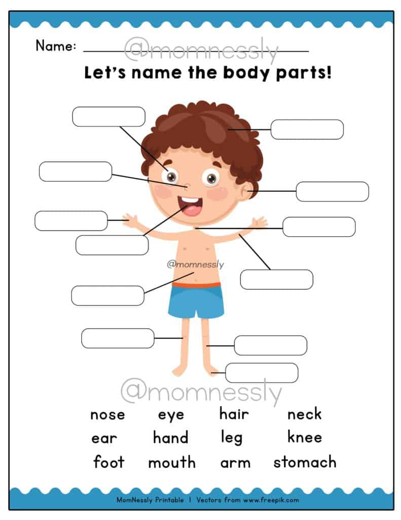 FREE PRINTABLES BODY PARTS WORKSHEETS FOR PRESCHOOL MOM NESSLY