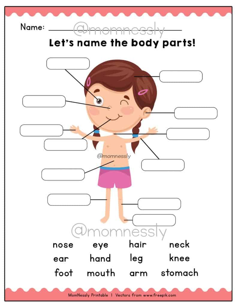 Identify the Body Parts Learning Worksheets - https://tribobot.com