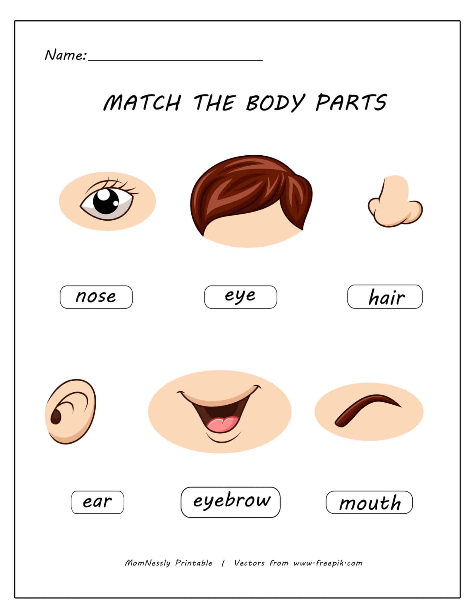 Free Printable Body Parts Worksheets for Preschool - Tribobot x Mom Nessly