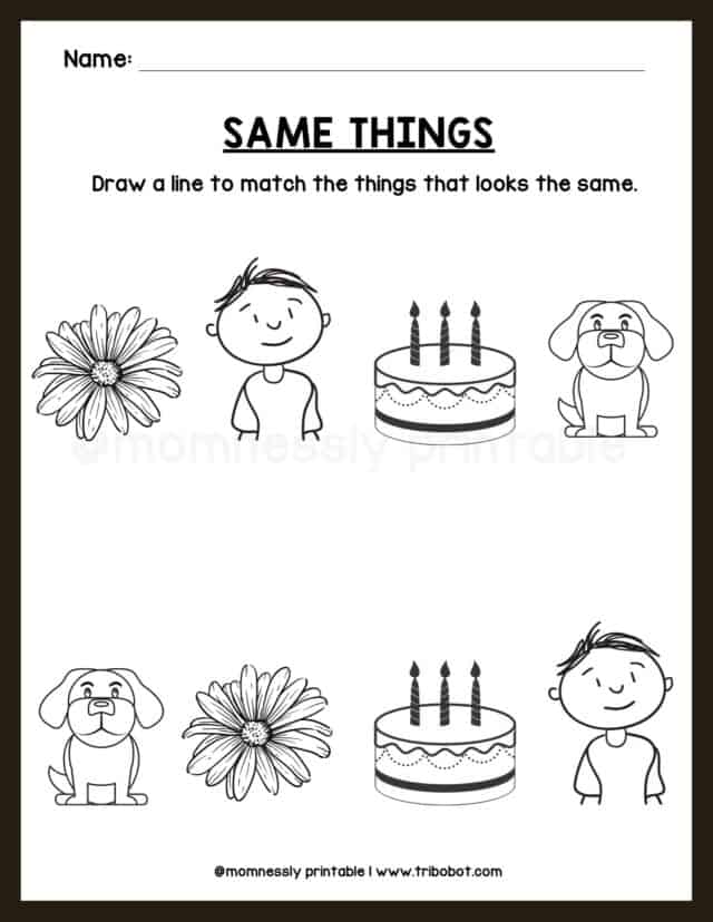 Same and Different Things Worksheets - Tribobot x Mom Nessly