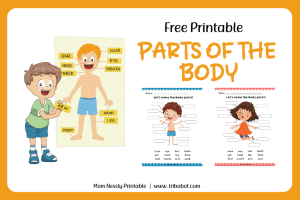 Printables – Tribobot x Mom Nessly