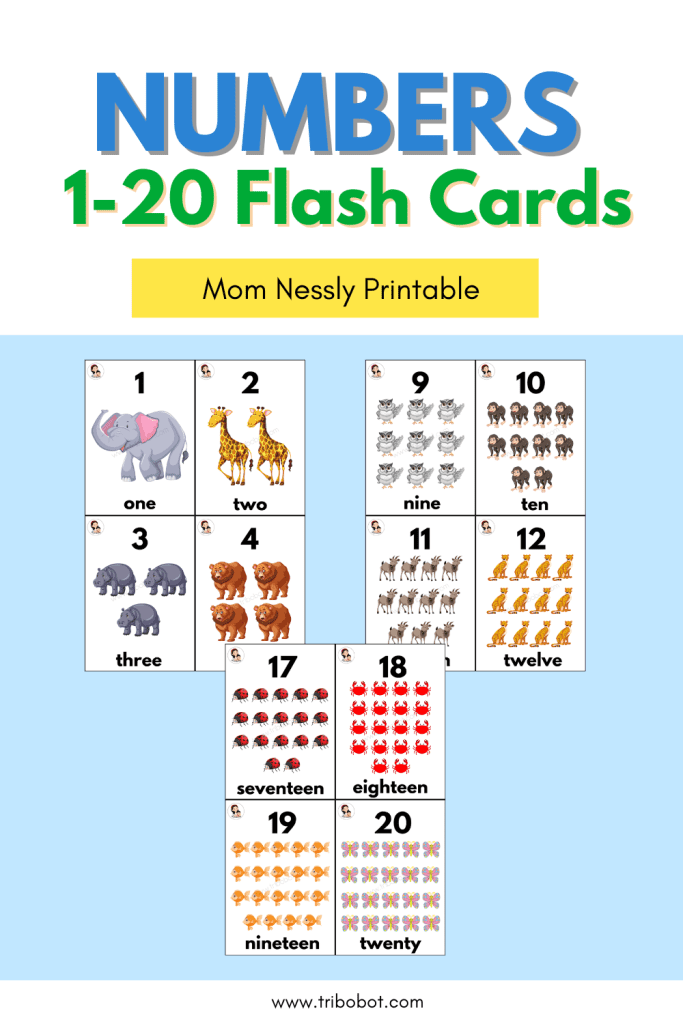 free Numbers Flash Cards Pin
