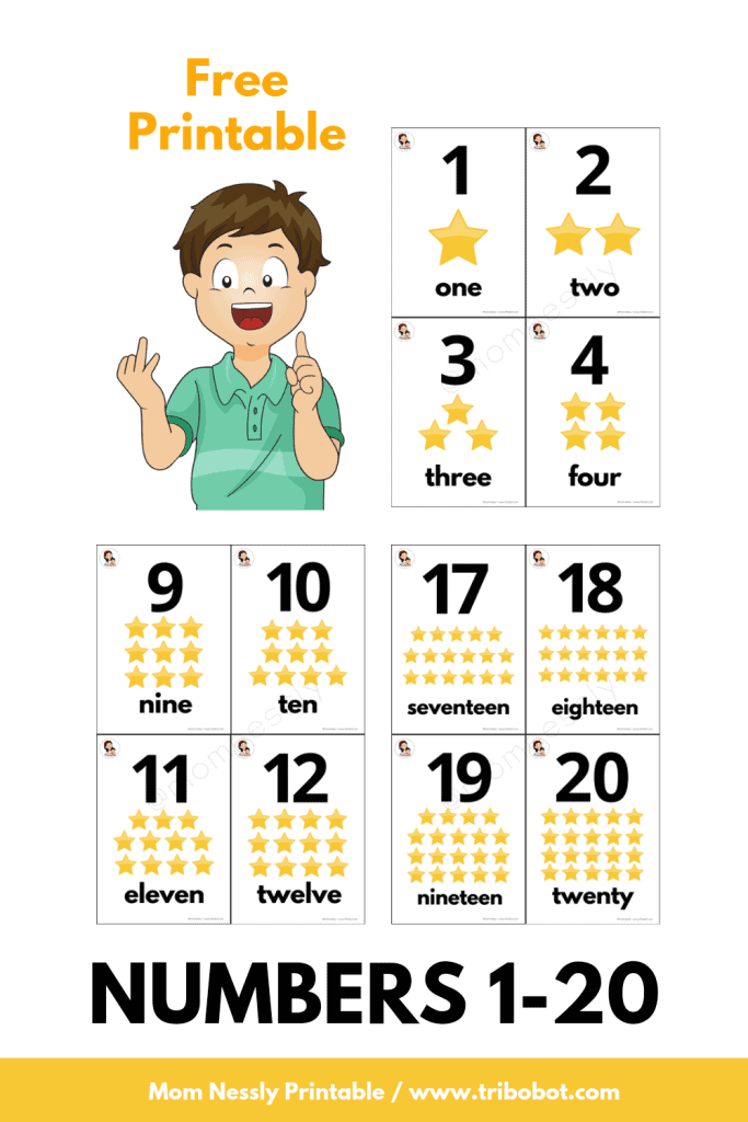 Free Numbers Flash Cards