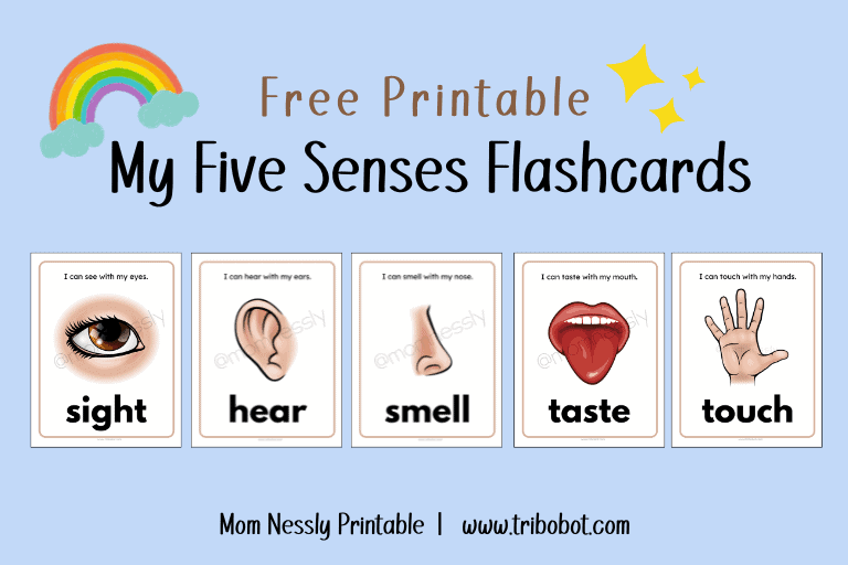 5 Senses Flash Cards Mom Nessly
