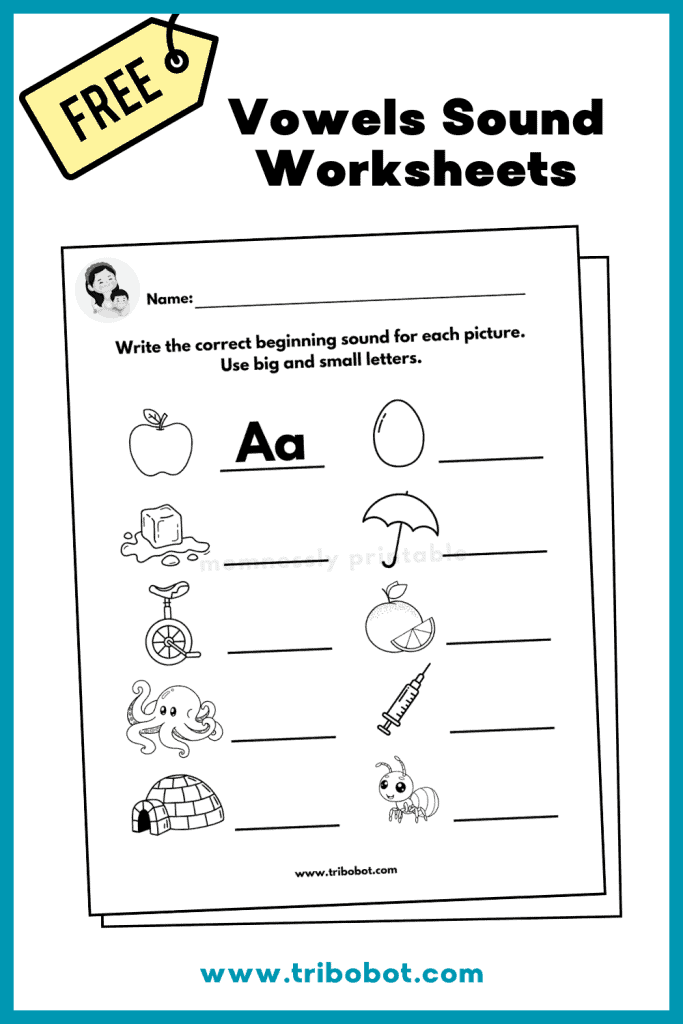 Vowels Worksheets Activity 5